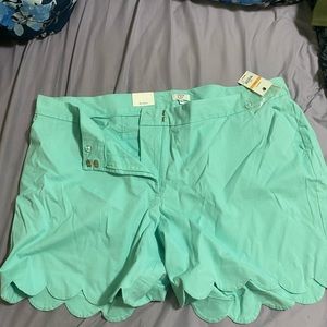 Mint Green Scolloped Leg Shorts